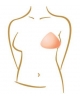 Prothèse mammaire AMOENA Balance Delta